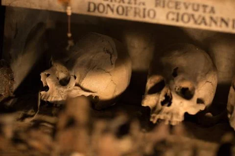 Skull and bones Foto stock