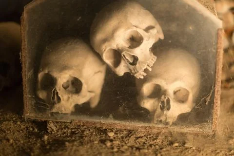 Skull and bones Foto stock