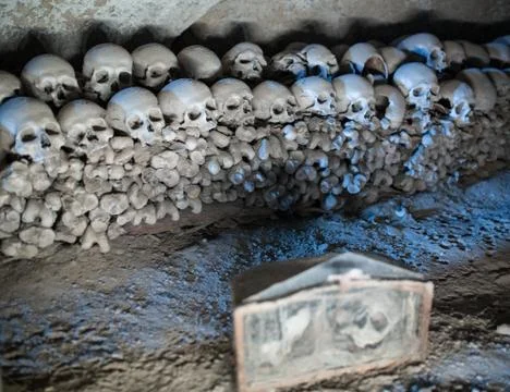 Skull and bones Stock Photos