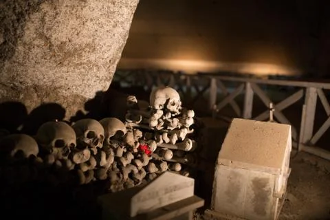 Skull and bones Stock Photos