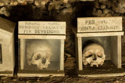 Skull and bones Stock Photos