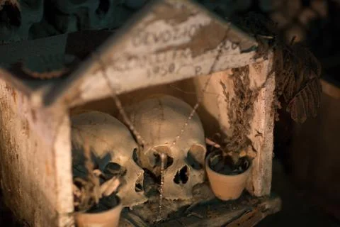 Skull and bones Stock Photos