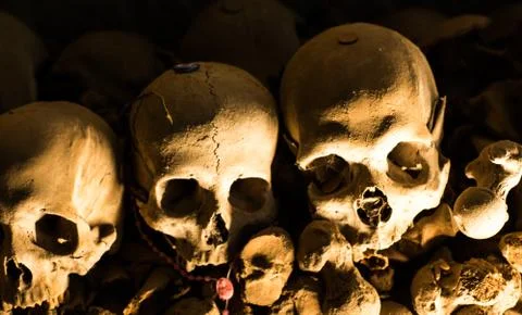 Skull and bones Stock Photos