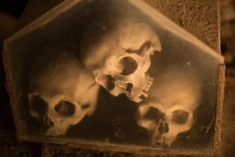 Skull and bones Stock Photos