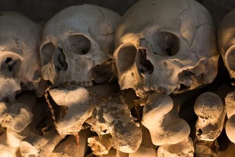 Skull and bones Stock Photos