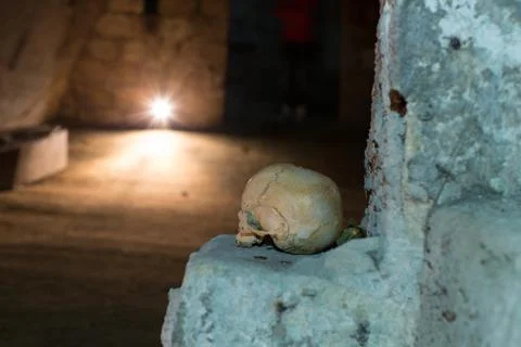 Skull and bones Stock Photos