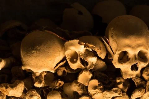 Skull and bones Stock Photos