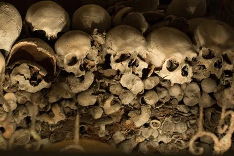 Skull and bones Stock Photos