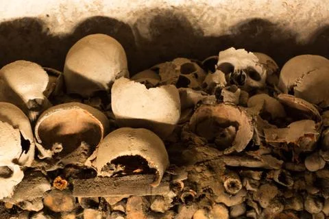 Skull and bones Foto stock