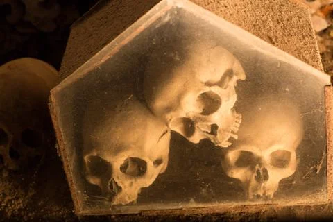 Skull and bones Foto stock