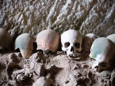 Skull and bones Stock Photos