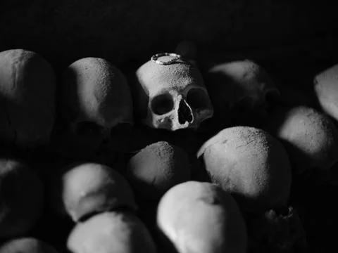 Skull and bones Stock Photos