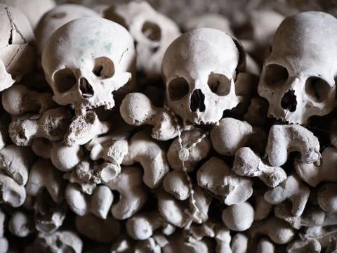 Skull and bones Stock Photos