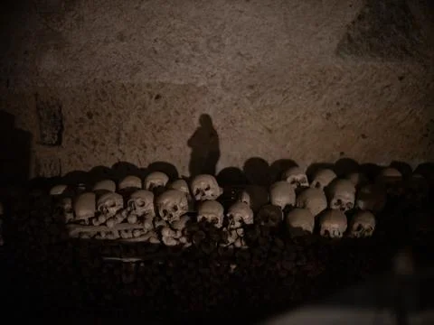 Skull and bones Stock Photos