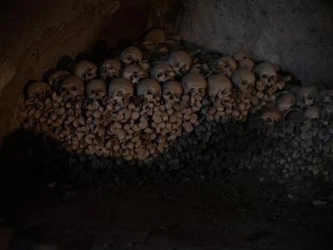 Skull and bones Stock Photos