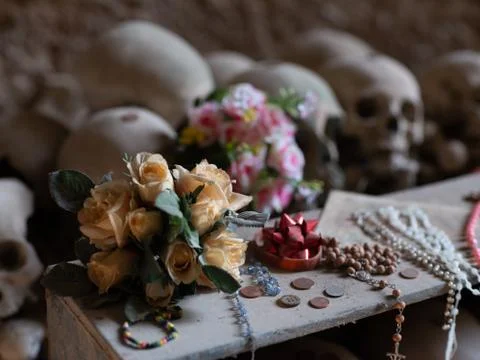Skull and bones Stock Photos