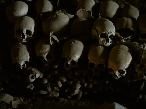Skull and bones Stock Photos