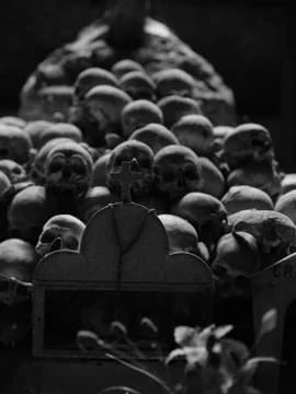Skull and bones Foto stock