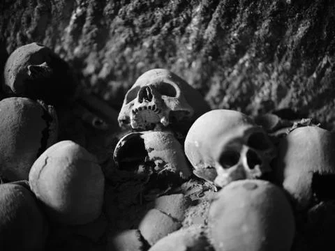 Skull and bones Stock Photos