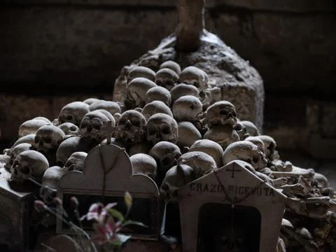 Skull and bones Stock Photos