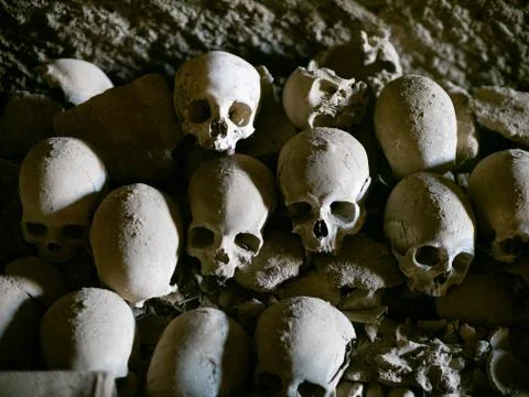 Skull and bones Stock Photos