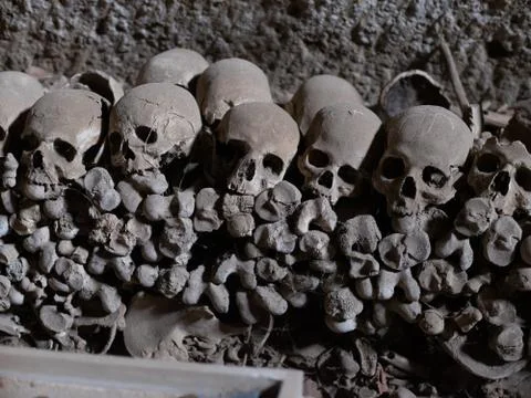 Skull and bones Foto stock