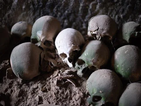 Skull and bones Foto stock
