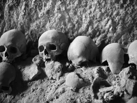 Skull and bones Stock Photos