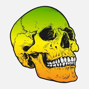 Skull and bones vector design. Ilustração Stock