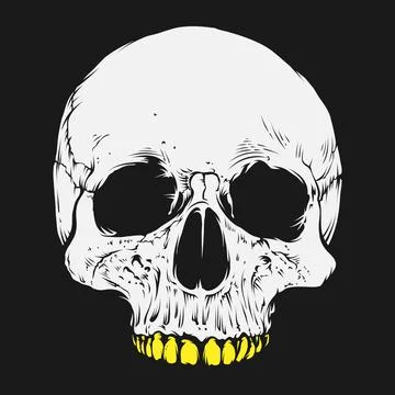 Skull and bones vector design. Ilustração Stock
