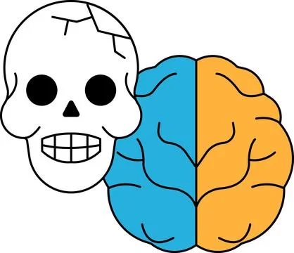 Skull and brain drawing Illustrazione stock