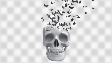 Skull And Butterflies Stock Footage 168651635