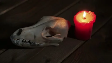 Skull and candle in lie on the table Stock Footage 161064456