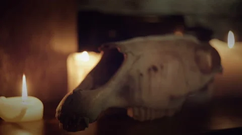 Skull and Candles Stock Footage 68804591