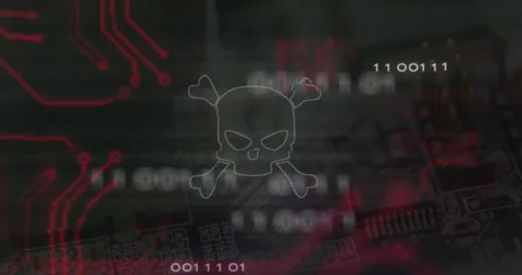 Skull and crossbones with binary code animation over electronic circuit board Stock Footage 305727524