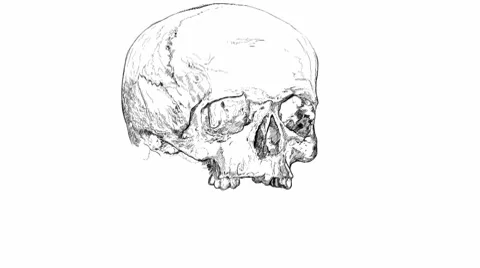 Skull and crossbones Stock Footage 10787270