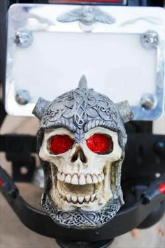 Skull and crossbones Фото