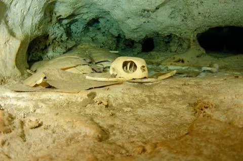 Skull and crushed shell of a dead turtle in an underwater cave Stock Photos