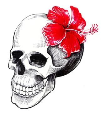 Skull and flower Stock Illustration