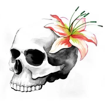 Skull and flower Stock-Illustration