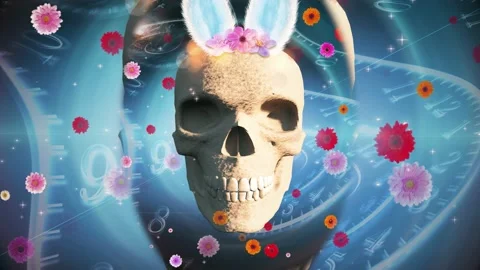 Skull and Flowers Stock Footage 240008935