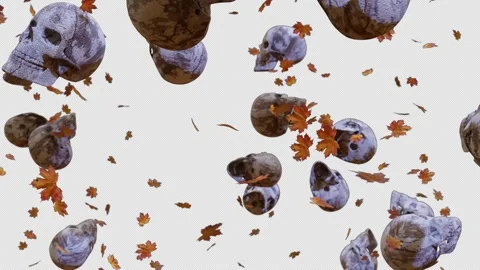 Skull And Maple Leaf Falling 01 4K Stock Footage 253140244