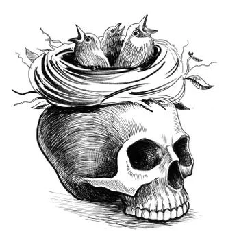 Skull and nest Illustrazione stock