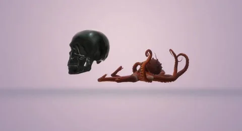 Skull and Octupus #2 Video stock 216333922
