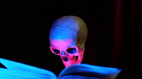 Skull and old open book. The wind turns the pages Stockbeeldmateriaal 233092413