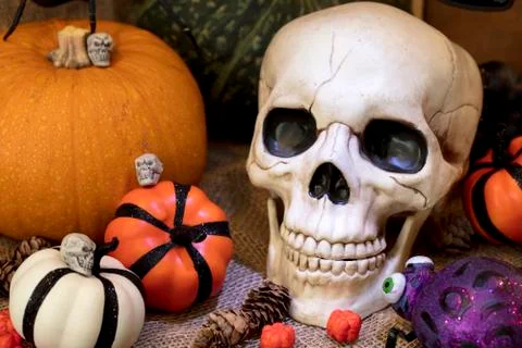 Skull and Pumpkins Stock Photos