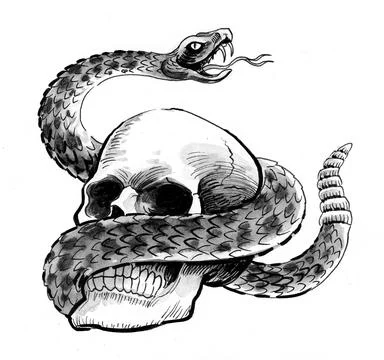 Skull and rattle snake Illustrazione stock