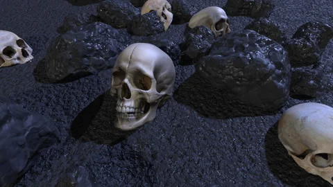 Skull and Rock Stock Footage 301613114