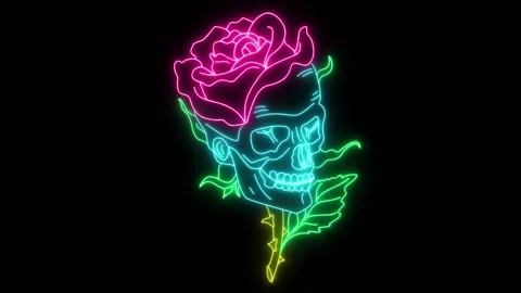 Skull and rose Stock Footage 131535644