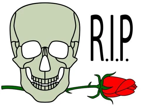 Skull and rose 스톡 일러스트